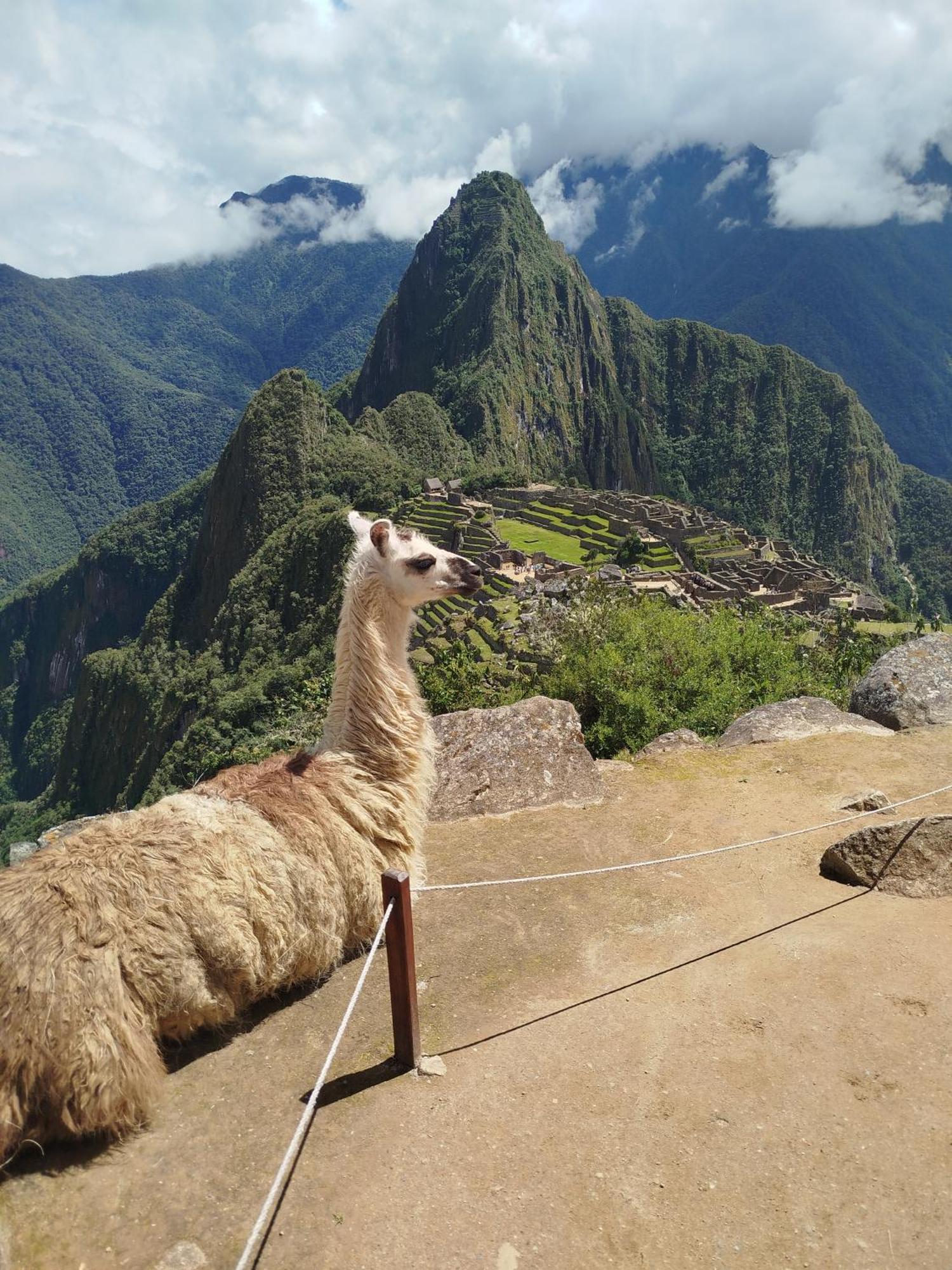 Picos House Hotel Machu Picchu Buitenkant foto